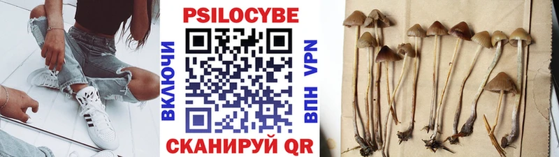 Псилоцибиновые грибы прущие грибы  Карачаевск 