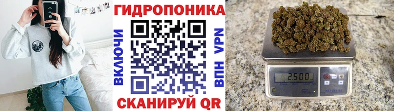 купить закладку  Карачаевск  Шишки марихуана ГИДРОПОН 